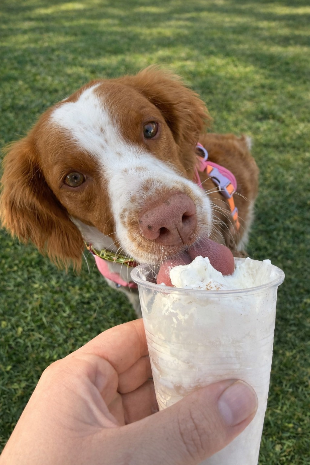 Daycare photos 1
