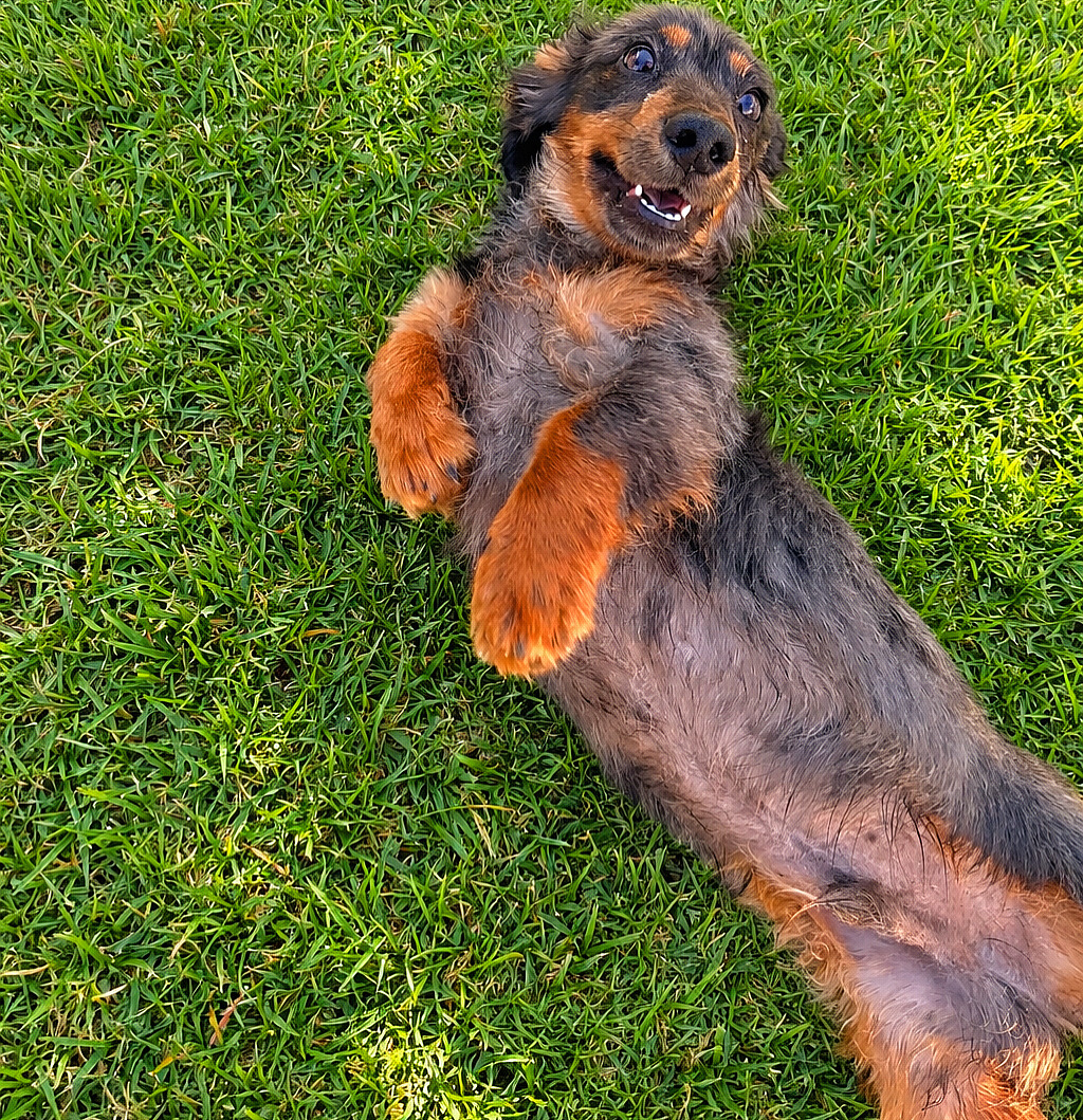 Daycare photos 4