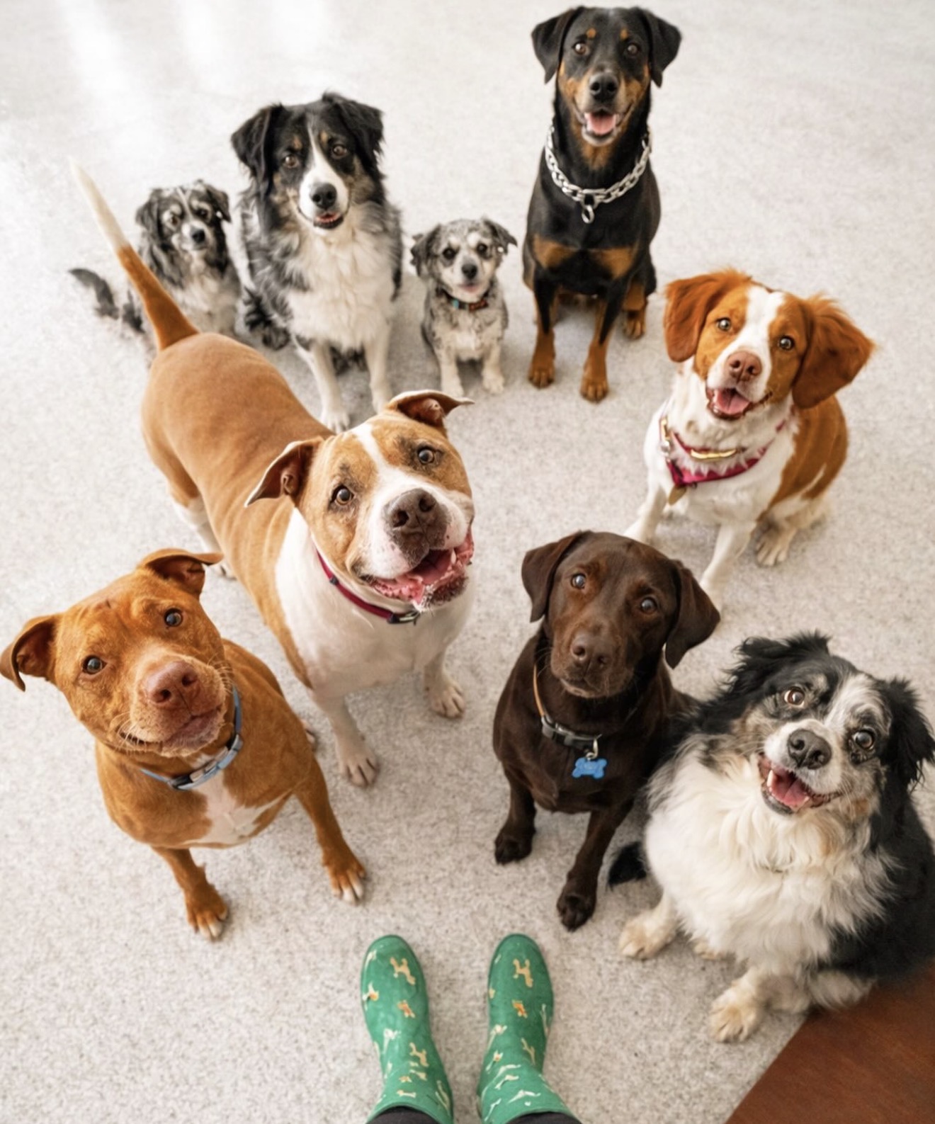 Daycare photos 6