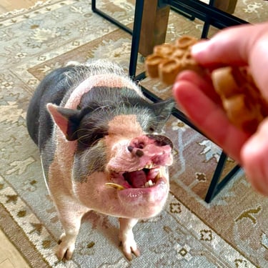 Home visit 1