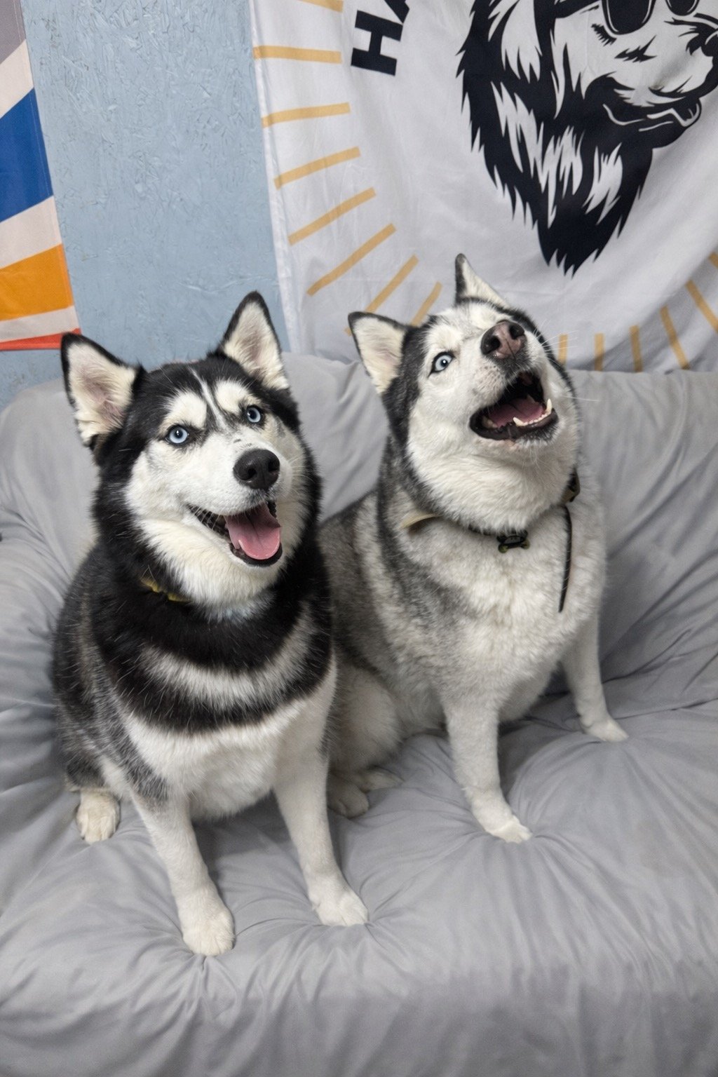 Daycare photos 5